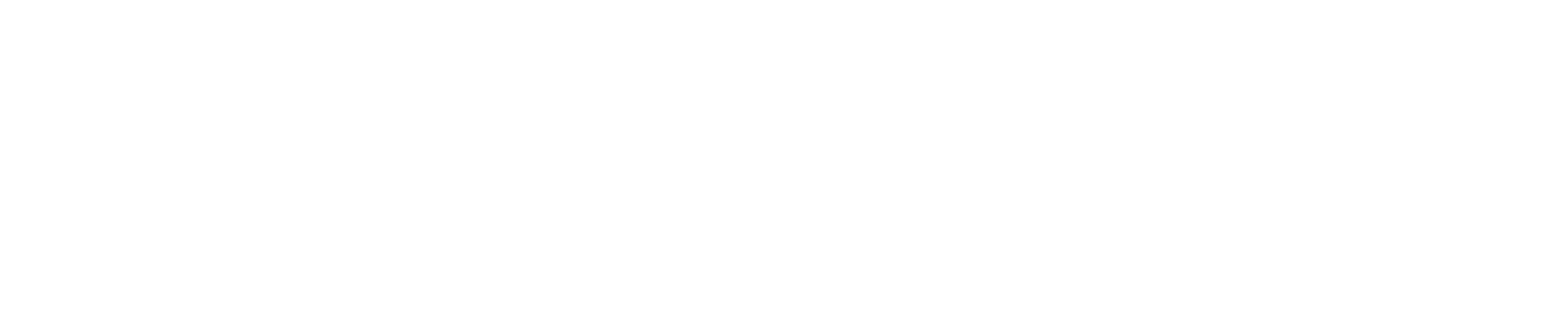 Leon Ready logo